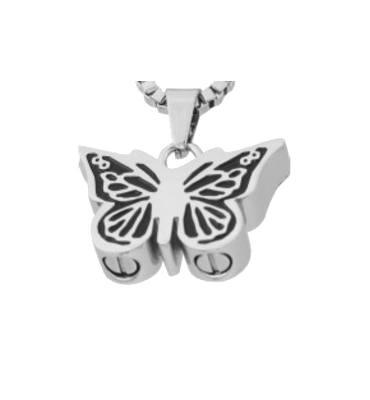 Double Urn Butterfly TBUT-044